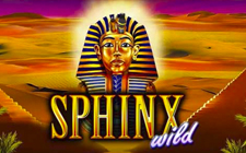 Sphinx Wild