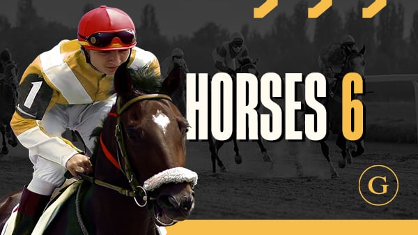 Horse 6 H.odds